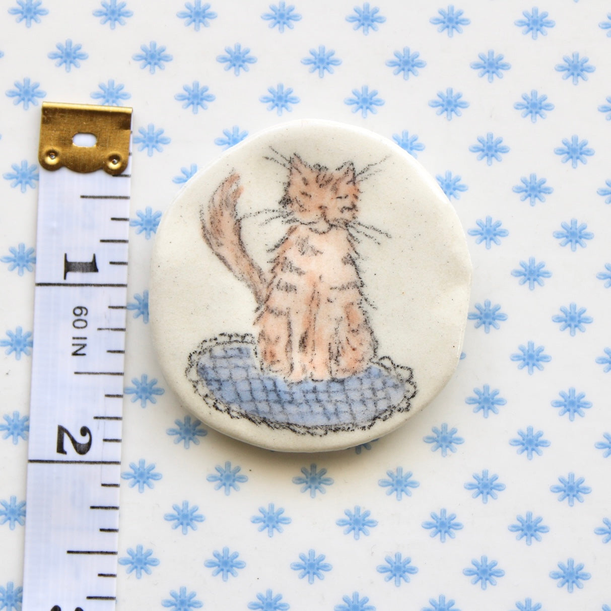 Kitty Magnet in Color