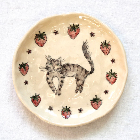 Cat and Strawberries Dish